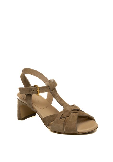  MARA BINI | Z556CAM-T.MORO